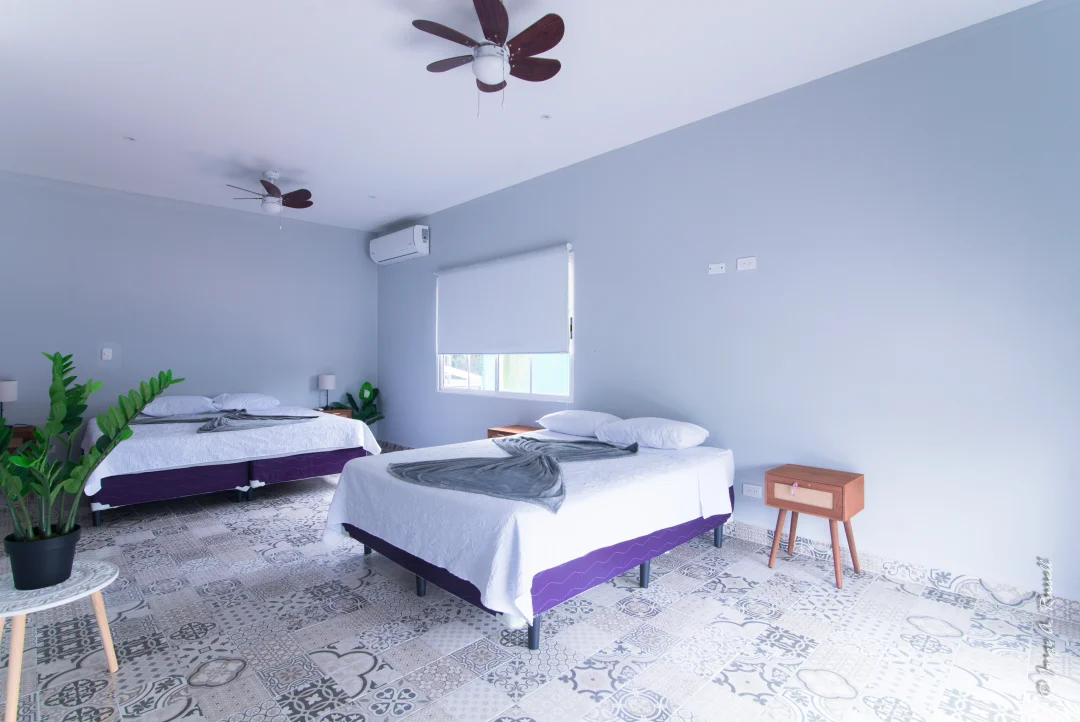 Corals Océano · wide view of both beds